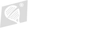 Club de Padel Prado Padel Logo Blanco